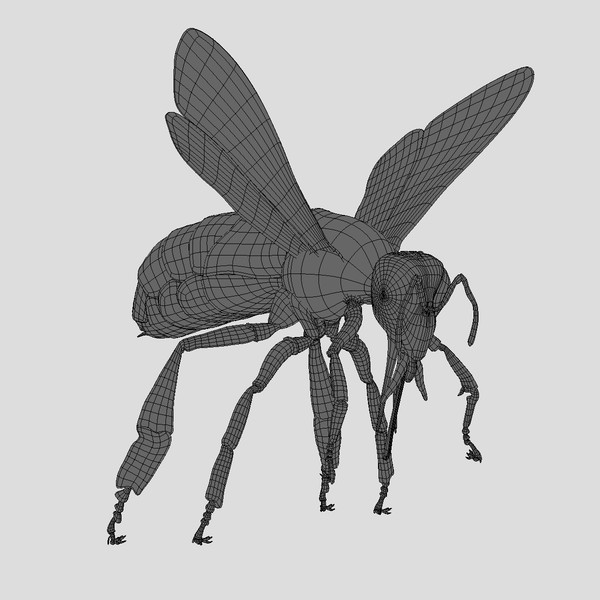 honey bee 3d model - Honey Bee... gxkcg