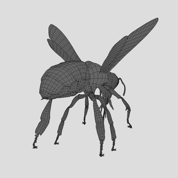 honey bee 3d model - Honey Bee... gxkcg