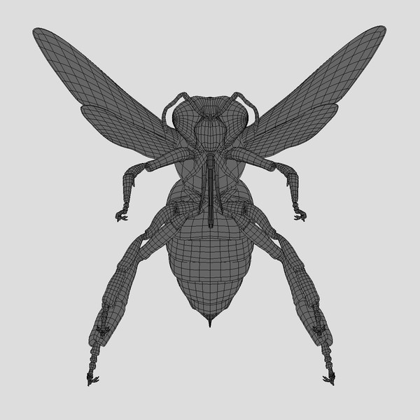 honey bee 3d model - Honey Bee... gxkcg