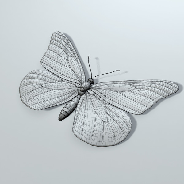 monarch butterfly max - Monarch Butterfly... 